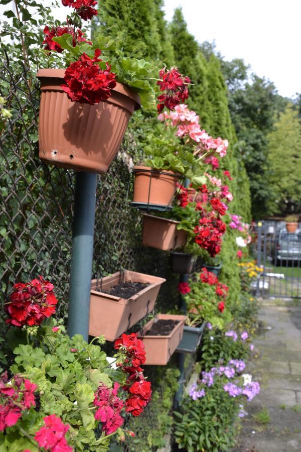 Warszawa Stare Bielany Bed & Breakfast エクステリア 写真